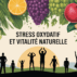 Stress oxydatif : traitements naturels fiables et conseils personnalisés Stress oxydatif : traitements naturels fiables et conseils personnalisés