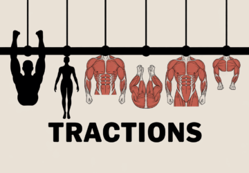 Quels muscles travaillent réellement lors des tractions