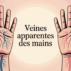 Veine apparente sur les mains : comprendre et agir pour une beauté retrouvée