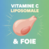 Vitamine C liposomale et foie : un duo puissant pour la détoxification et la santé hépatique