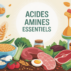 8 acides aminés essentiels : rôles, liste et sources pour une alimentation équilibrée