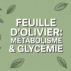 Feuilles d’olivier et perte de poids : mythe ou soutien naturel crédible ? Feuilles d’olivier et perte de poids : mythe ou soutien naturel crédible ?