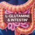 L-glutamine intestin effets secondaires : décryptage des risques et du confort digestif L-glutamine intestin effets secondaires : décryptage des risques et du confort digestif
