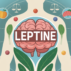 Leptine pour maigrir : avis, efficacité réelle et limites Leptine pour maigrir : avis, efficacité réelle et limites