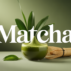 Quels sont les bienfaits du matcha : analyse scientifique et usages authentiques