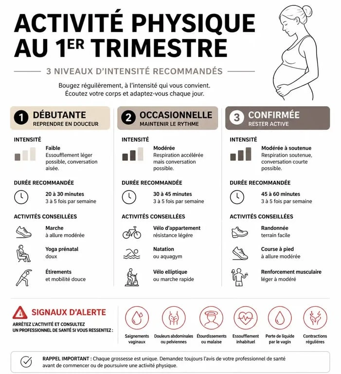 Infographie sur le sport au 1er trimestre de grossesse : intensité et précautions