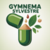 Gymnema sylvestre pour maigrir : avis honnêtes, efficacité réelle et précautions à connaître