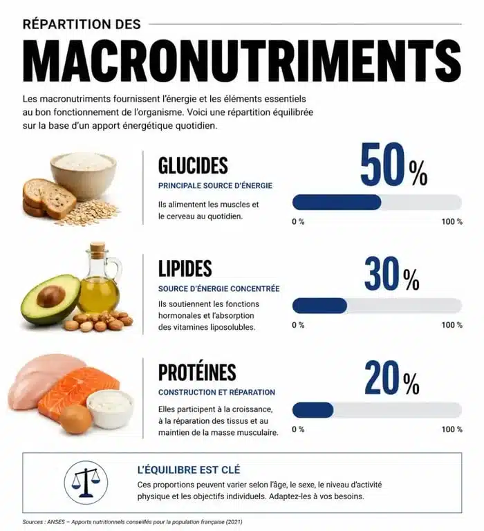 Tableau glucides lipides protéines : répartition idéale des macronutriments pour l'équilibre nutritionnel